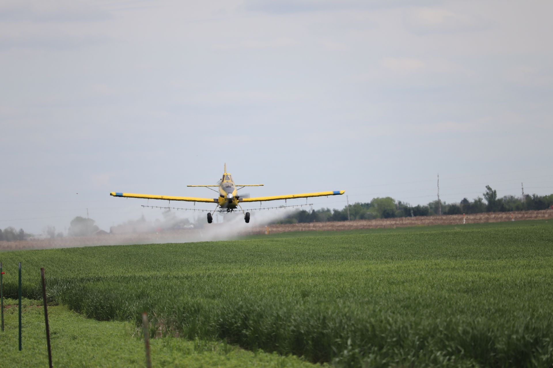 A yellow airplane is flying over a green field.