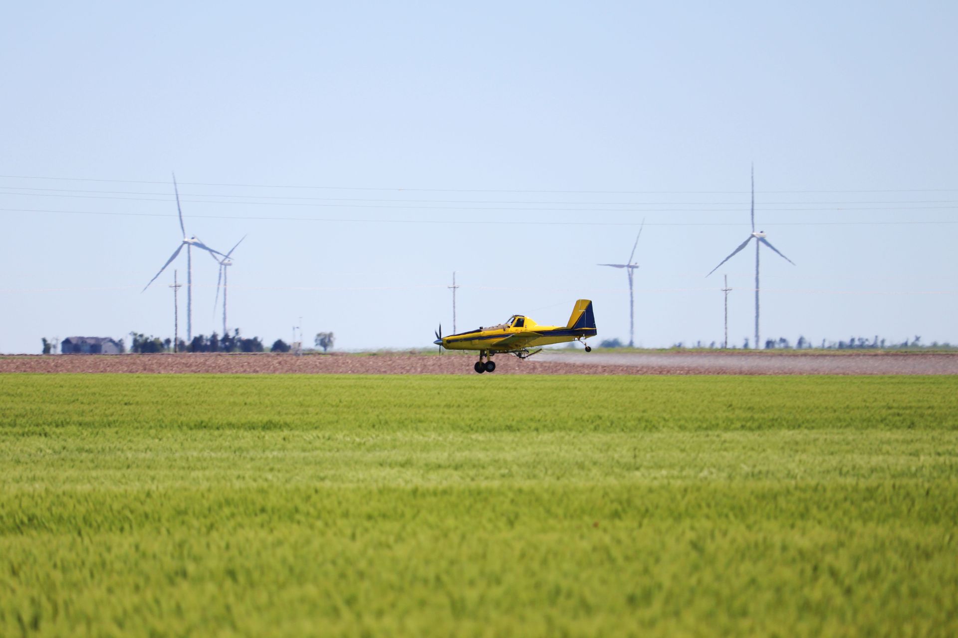 A yellow and black plane is taking off from a runway in a field with wind turbines in the background.