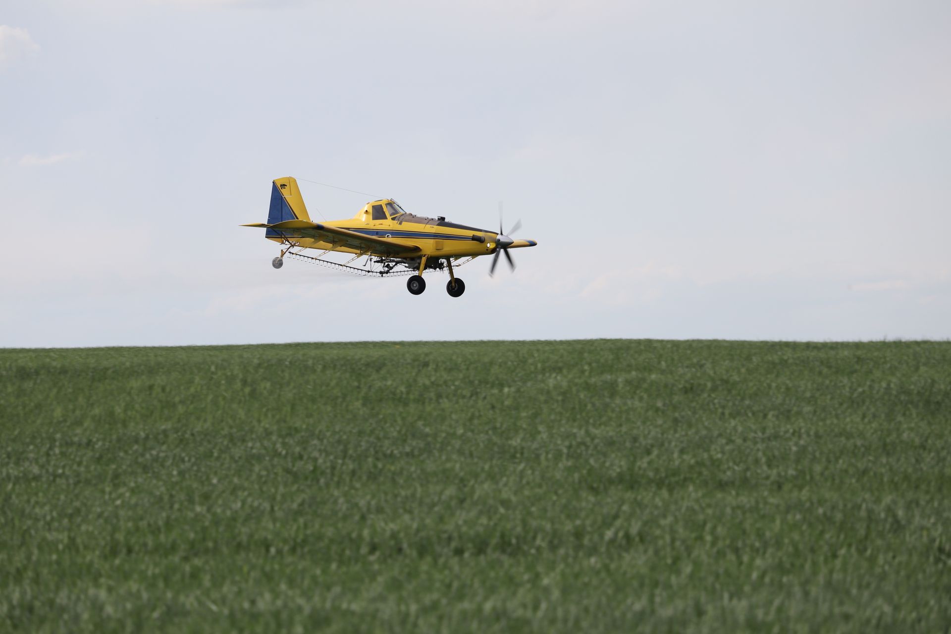 A yellow plane is flying over a green field.
