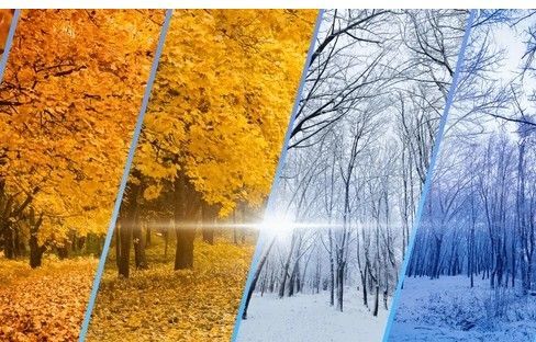 FALL into WINTER SAVINGS