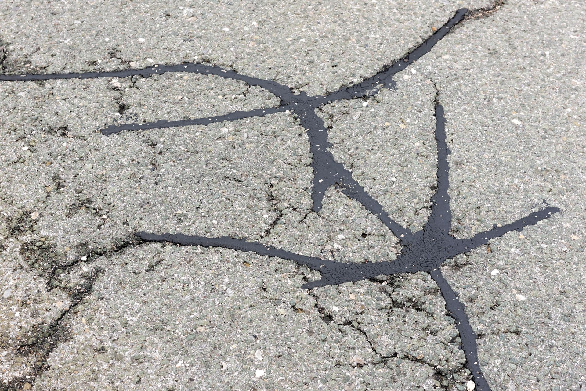 Cracked gray asphalt pavement with dark branching fissures