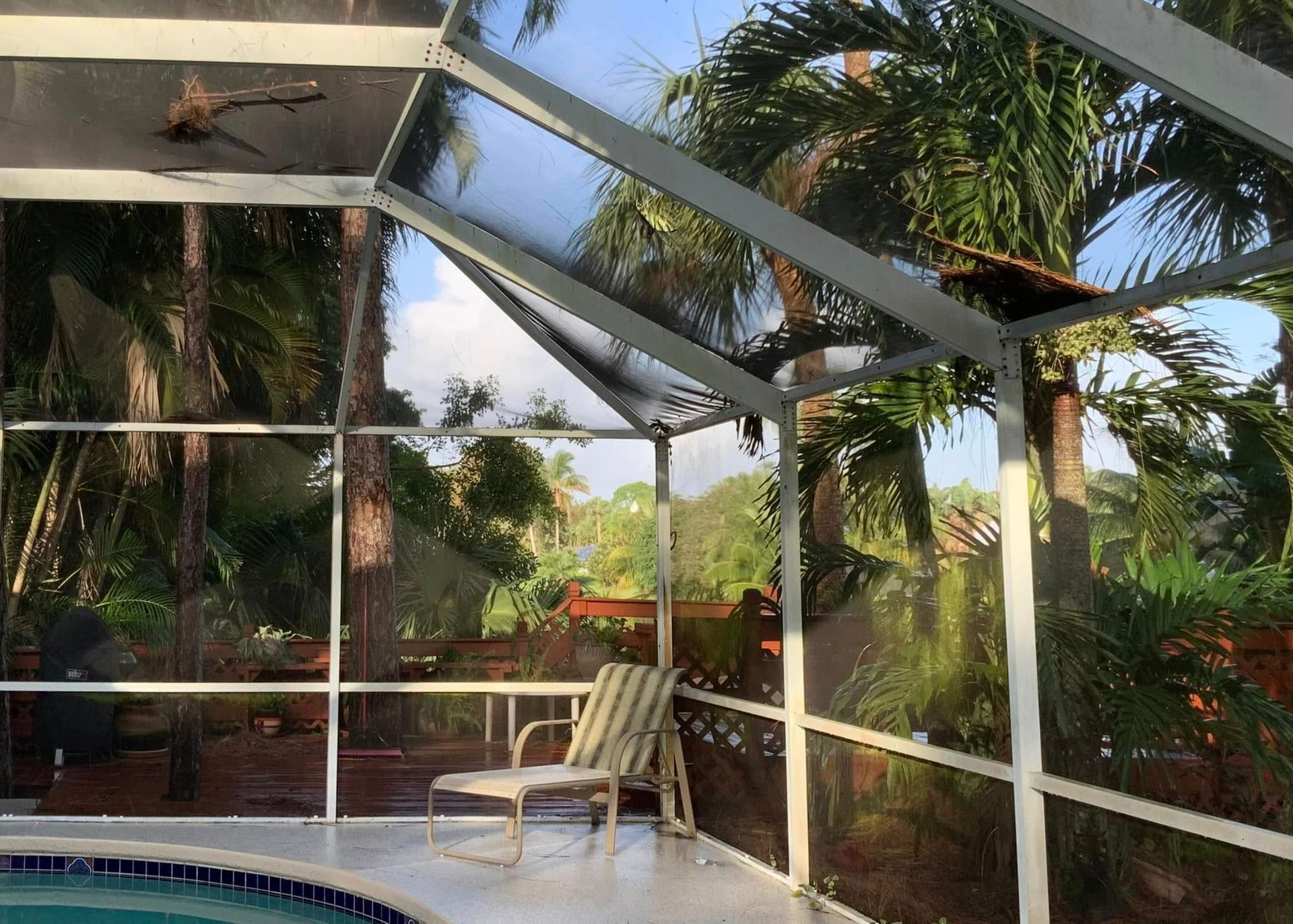 Pool enclosure with screen panels, white frame, and a lounge chair, with palm trees in the background.