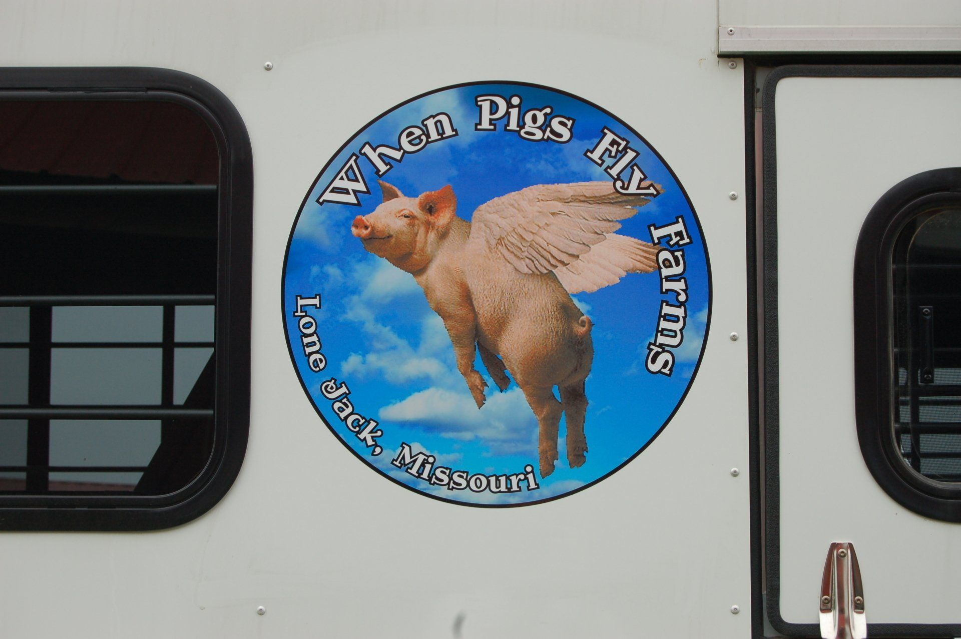 Vehicle graphics