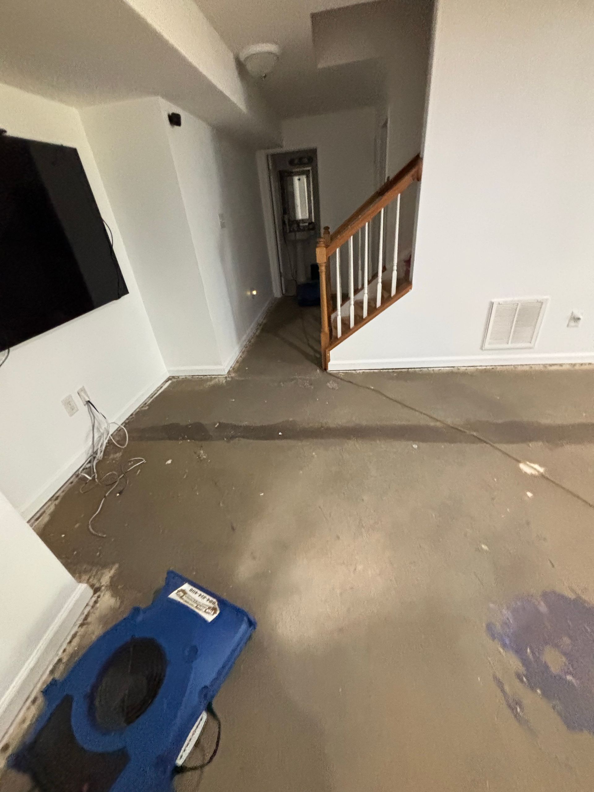 Basement with wet, gray concrete floor. A blue fan and stairs visible.