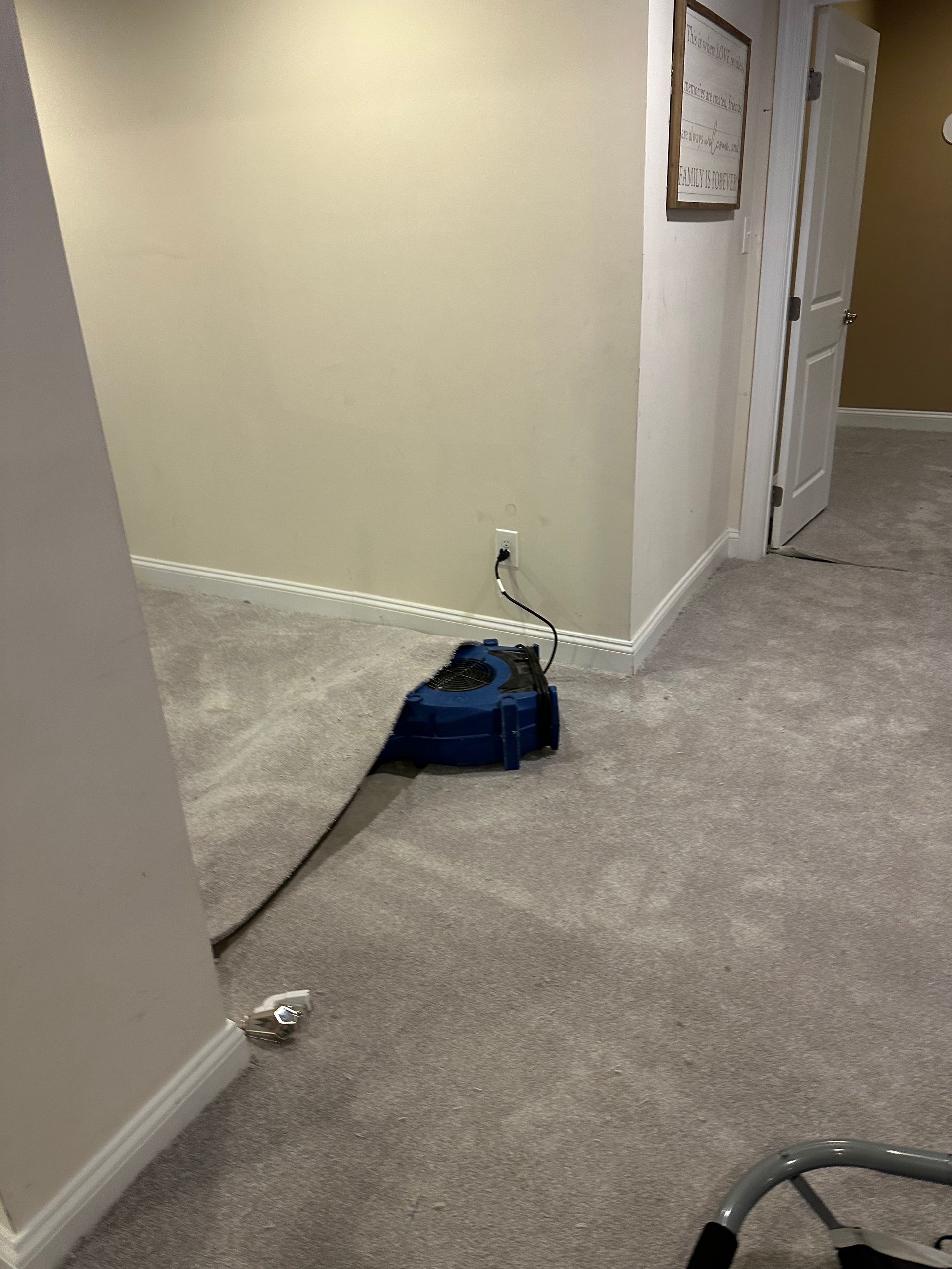 Blue carpet cleaner on gray carpet in a room with beige walls and a white door.