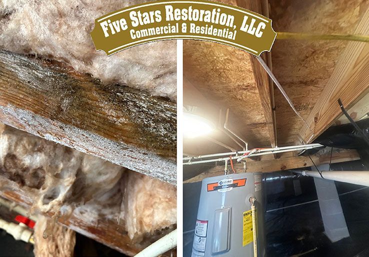 Moldy insulation and wood in a crawl space, next to a water heater.