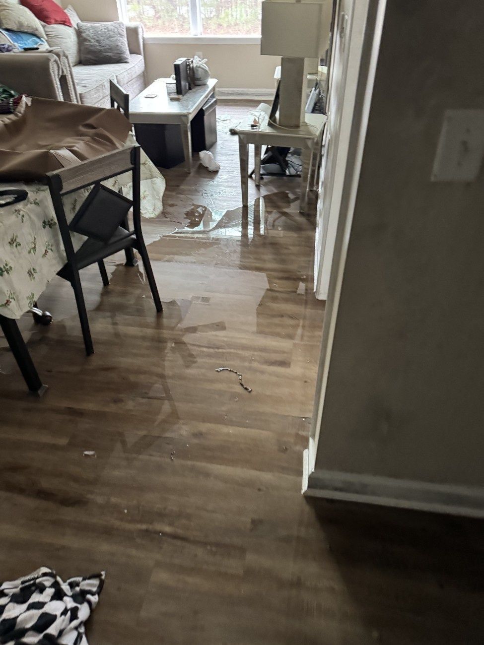 Water covers the wooden floor of a living room. Furniture and a window are visible in the background.