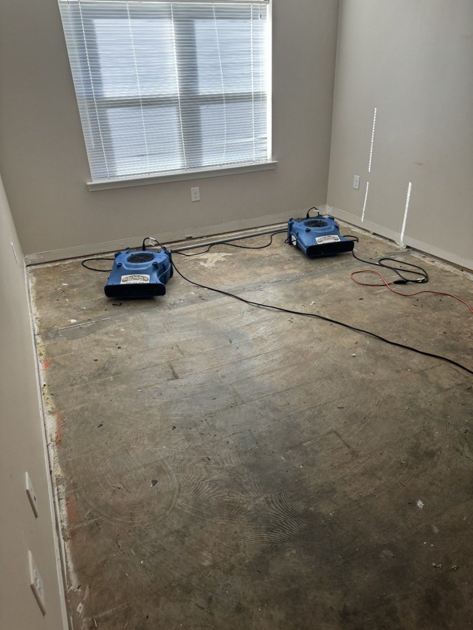 Two blue air movers drying a room with the flooring removed, near a window.