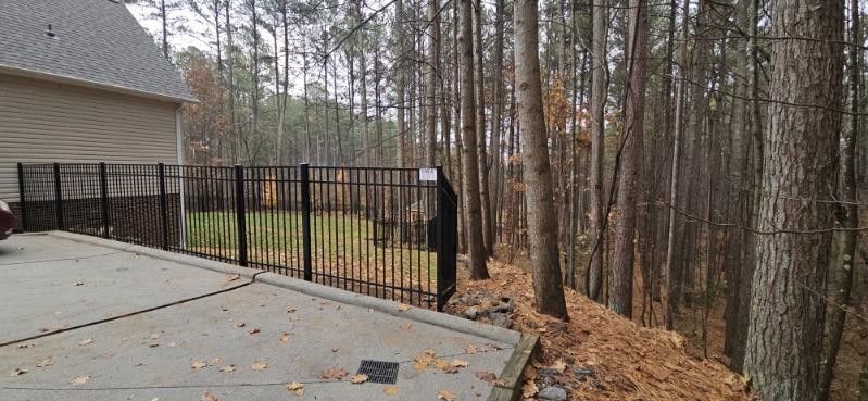 A concrete patio with a black fence separates a house from a wooded area with tall trees and pine needles.