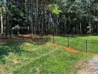 Black metal fence bordering a green grassy area and a wooded background.