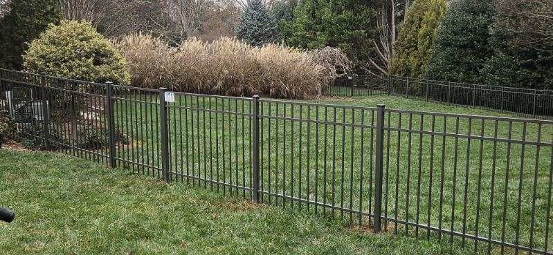 Black metal fence in a grassy yard, with trees and shrubs in the background.