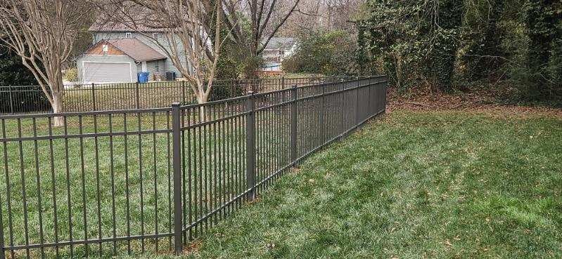 Black metal fence in a grassy yard, with leafless trees and a house in the background.