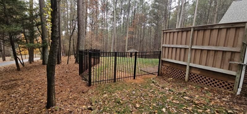 Black metal fence encloses a small, grassy area. Brown wooded fence on right. Trees surround.
