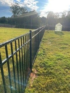 Black metal fence in a grassy yard, sunlight and small shed in background.