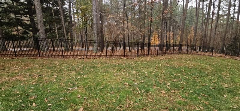 Grassy yard with fallen leaves in front of a black fence. Tall trees behind the fence.