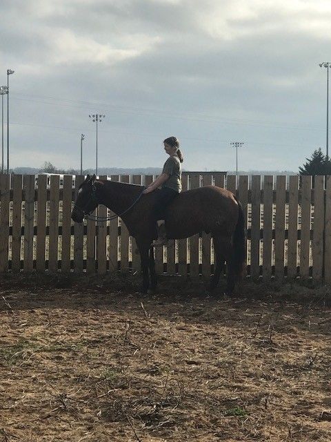A person on a brown horse in an outdoor riding area, near a wooden fence, under a cloudy sky.