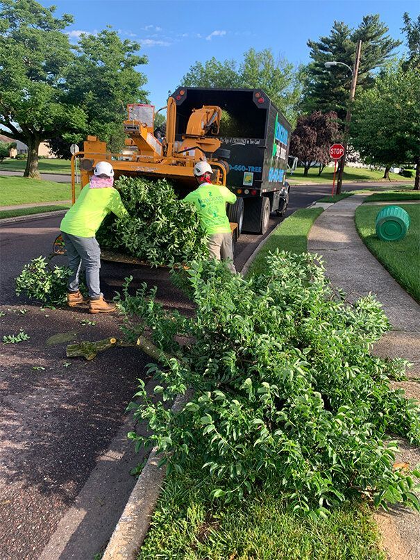 Two workers feeding tree branches into a wood chipper on a suburban street.