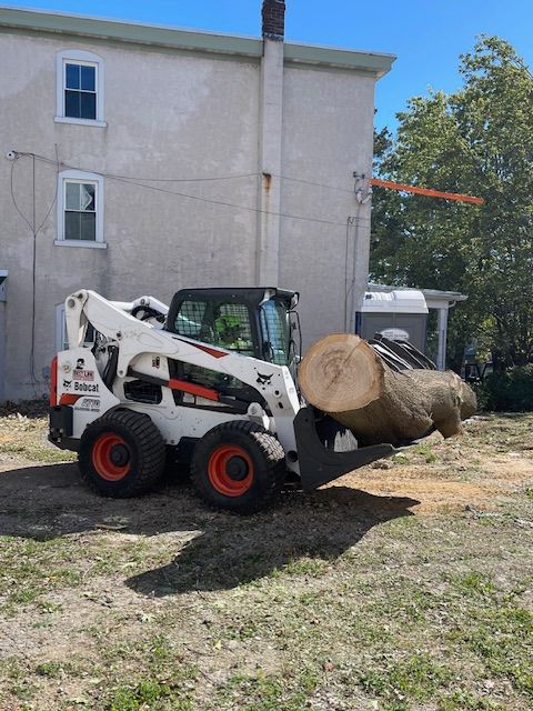 A white Bobcat skid-steer loader carrying a large tree log in a grassy yard, near a light-colored building.