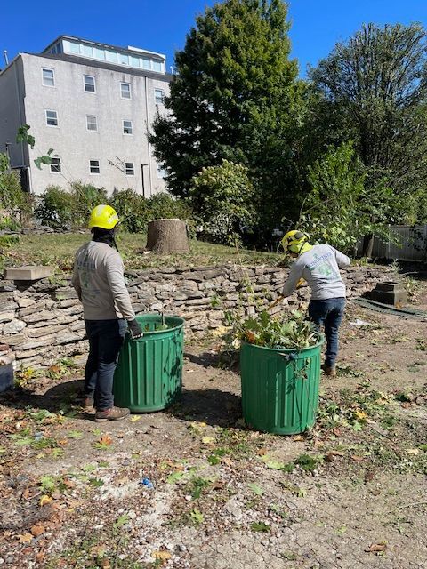 Two workers in yellow hard hats fill green trash bins with yard waste near a brick wall and trees.