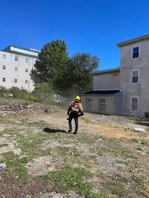 Person using a leaf blower in a yard with buildings and a tree. Blue sky.