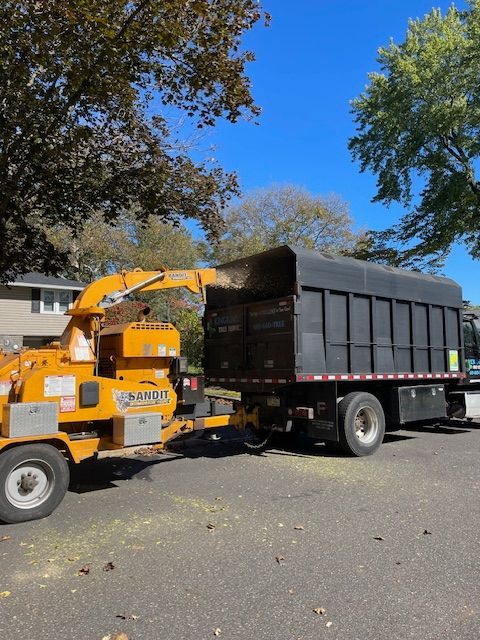 A wood chipper blowing wood chips into a large dump truck on a sunny day.