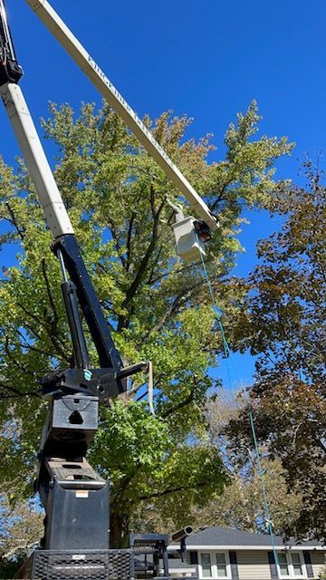 Cherry picker reaching into a tree with green and brown leaves under a blue sky.