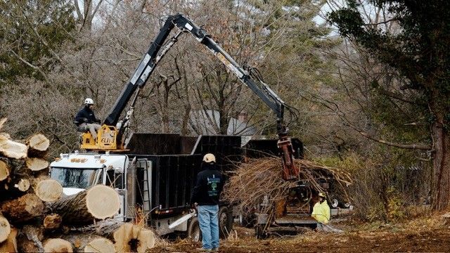 Workers using a crane and truck to load branches into a wood chipper; logs in foreground.