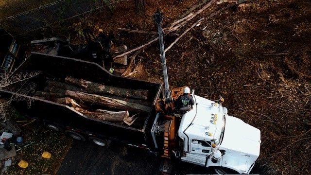Truck loading logs with a crane. Worker in safety gear. Brown logs and truck in a wooded area.