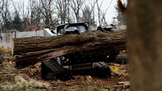Skid steer lifting a large tree trunk in a clearing, near a wall and trees.