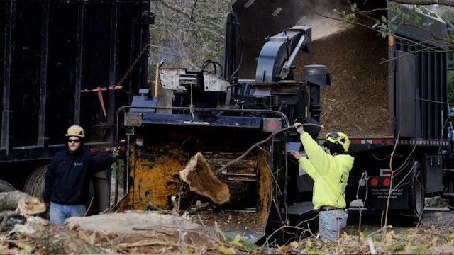 Two workers feed branches into a wood chipper mounted on a truck.