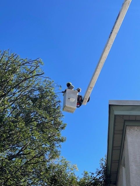 Two workers in a lifted bucket, repairing something near a building; bright blue sky overhead.