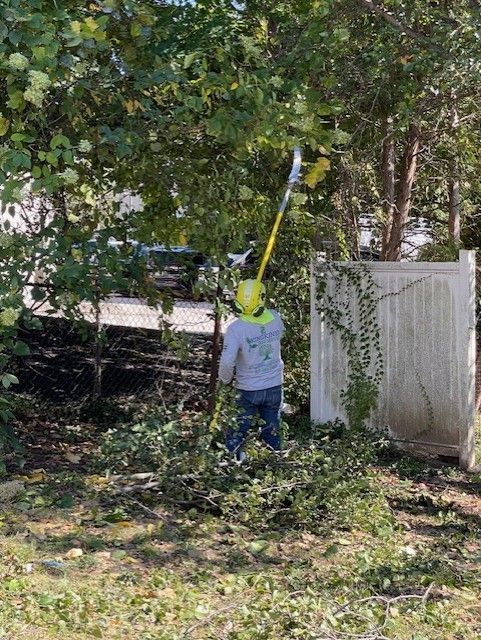 Person trimming tree branches with a long pole saw next to a white fence.