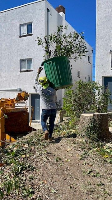 Person carrying a green plant pot over their head, near a tree stump and wood chipper outside white buildings.