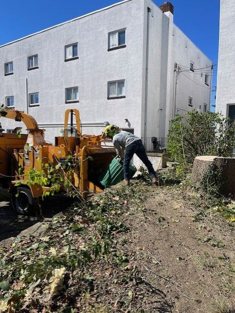 Man feeding brush into a wood chipper near a white building with windows. Bright sunny day.