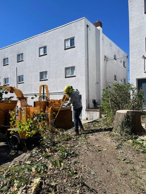 Person feeding branches into a wood chipper near a white building with windows. Sunny day.