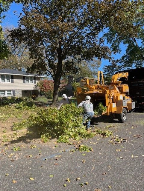 Workers feeding branches into a wood chipper near a tree and apartment building. Sunny day.