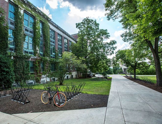 Kingkiner Tree Service