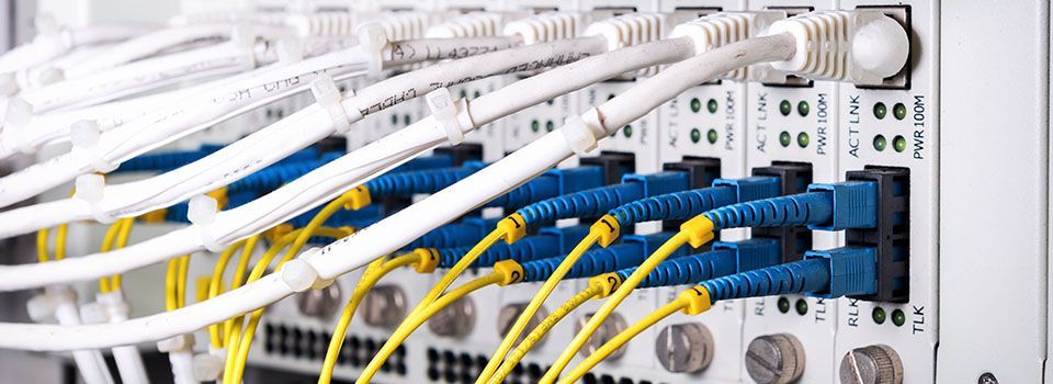 Close-up of network server ports with multiple cables plugged in; blue and yellow fiber optic cables and white ethernet cables.