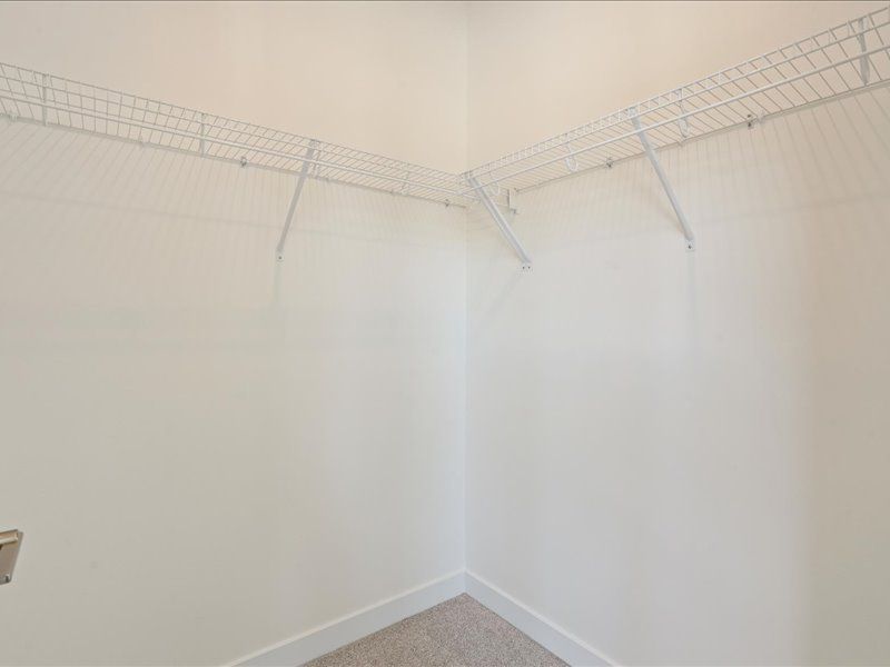 Empty white closet with wire shelving along the top walls and a carpeted floor.