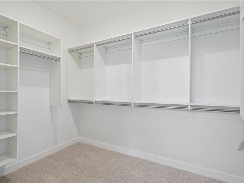 Empty white walk-in closet with built-in shelves and hanging rods, beige carpet, and bright walls