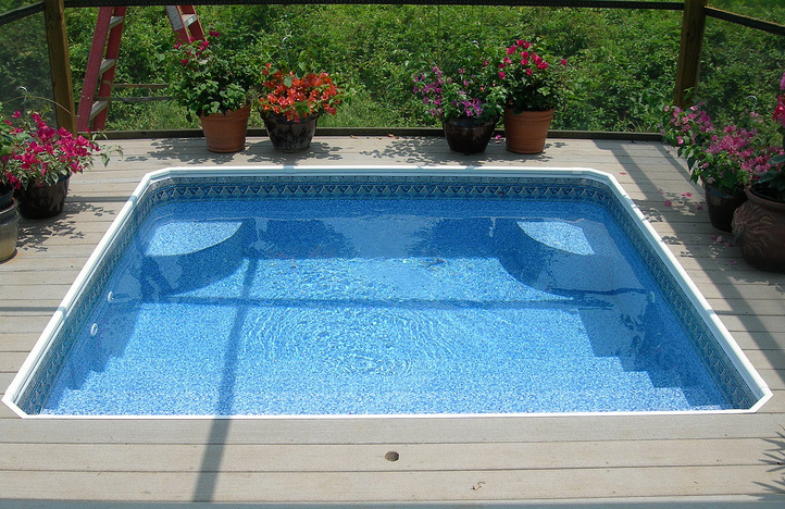 Swimming pool surrounded with plants