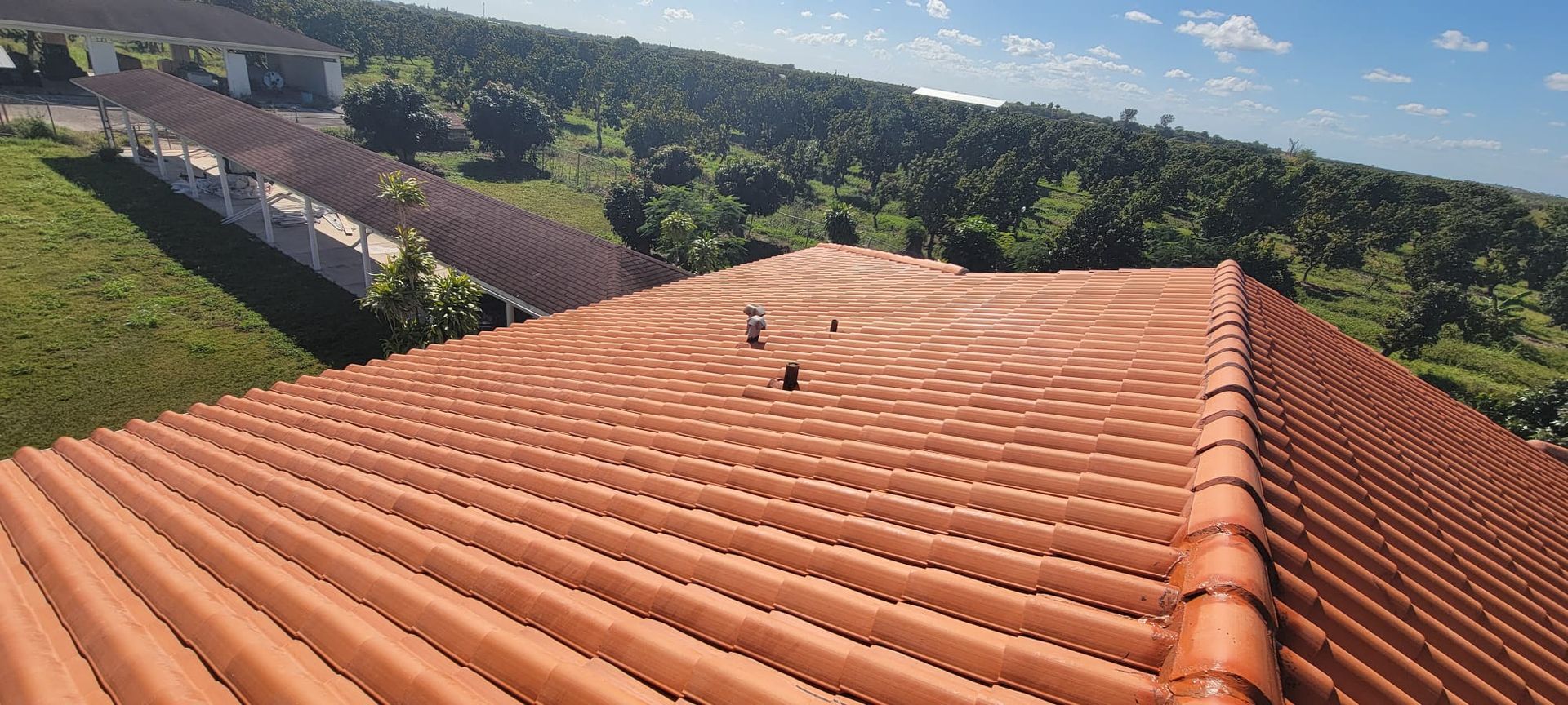 An aerial view of a tiled roof with trees in the background.