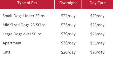 Pet grooming cheap 2024 near me