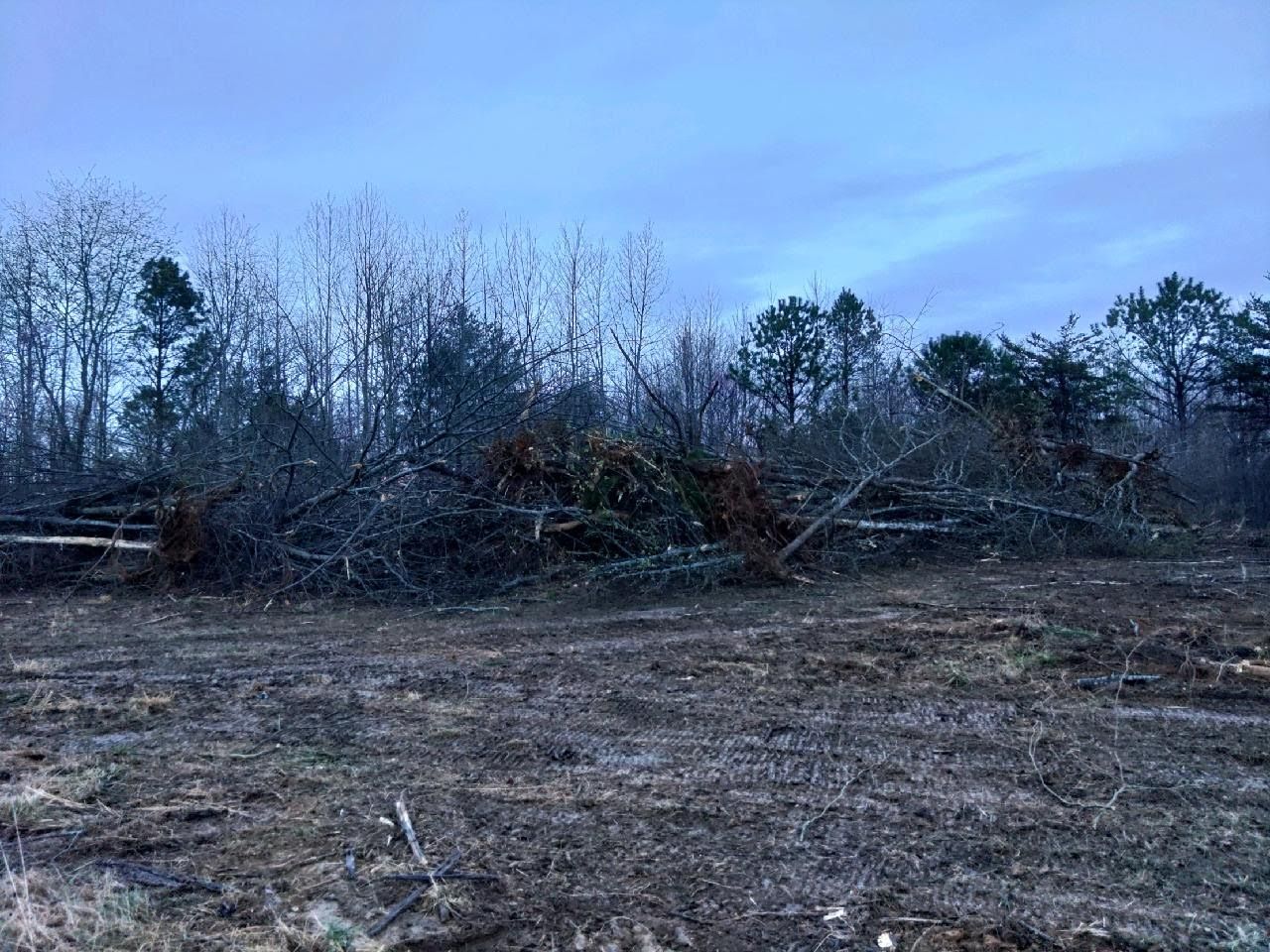 an empty lot with trees in the background and a blue sky