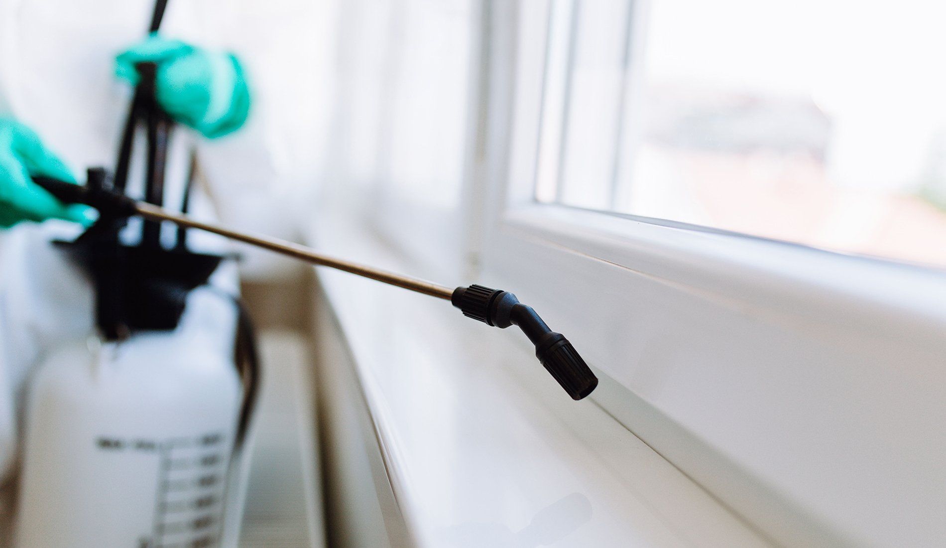 Pest Control Bug Free Exterminating Manorville, NY