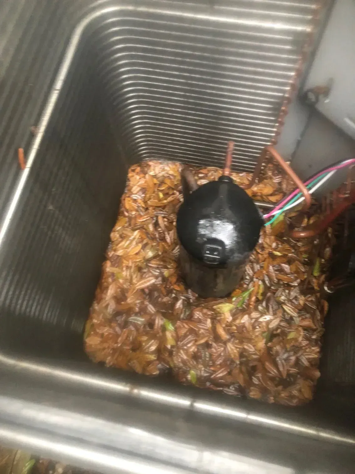 Air conditioner compressor surrounded by leaves and debris.