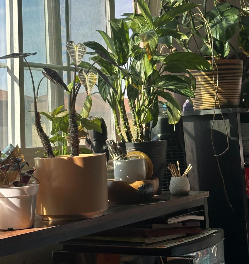 Plantscaping LA