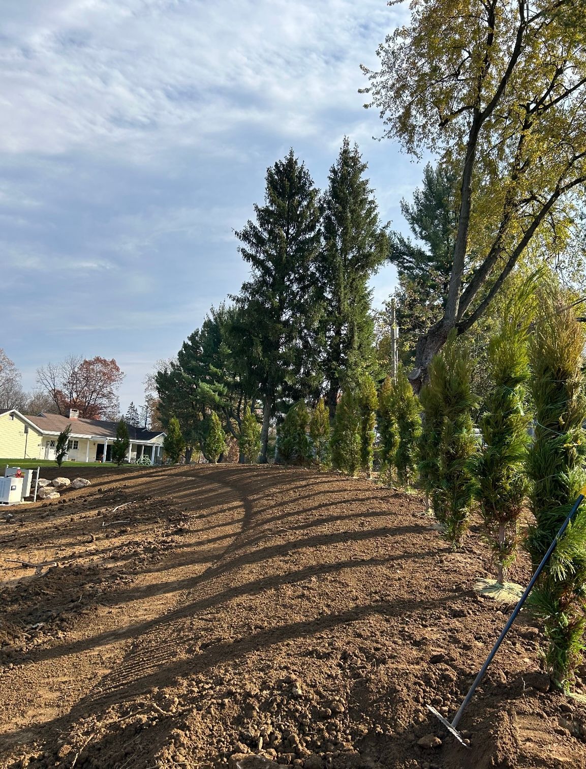 a dirt field with trees and a house in the background