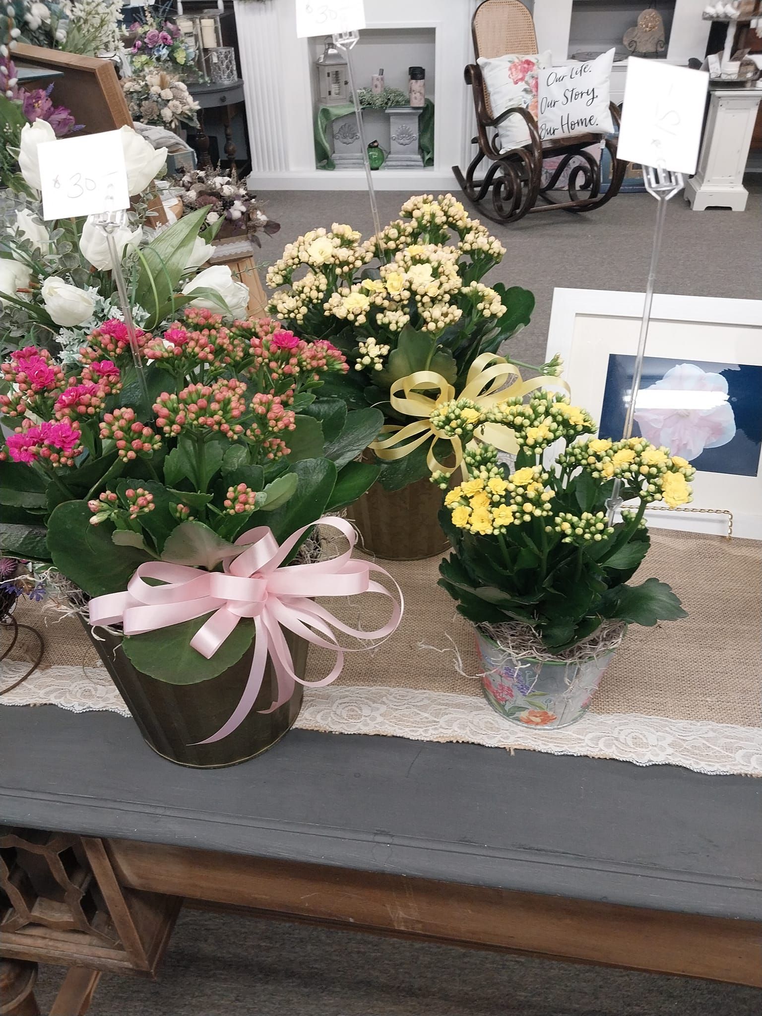A bunch of potted plants are sitting on a table.