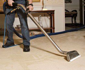 Round Lake Carpet Cleaning Services Near Me